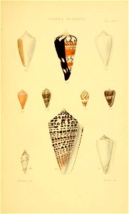 n370_w1150