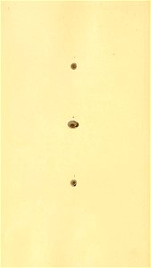 n477_w1150