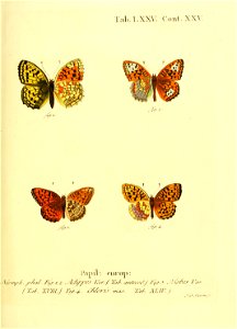 n158_w1150