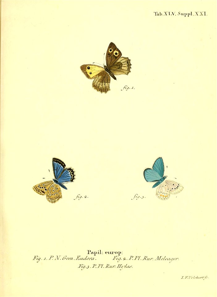n98_w1150