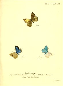 n98_w1150