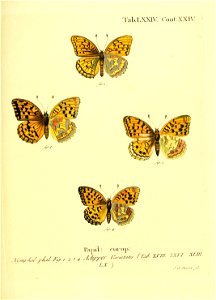 n156_w1150