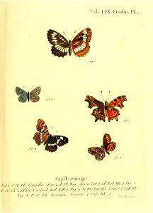 n126_w1150
