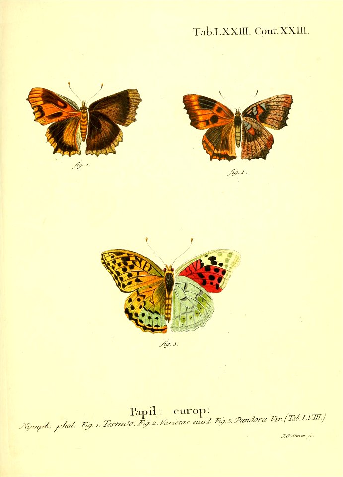 n154_w1150