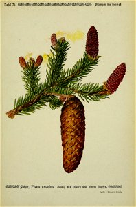 n162_w1150