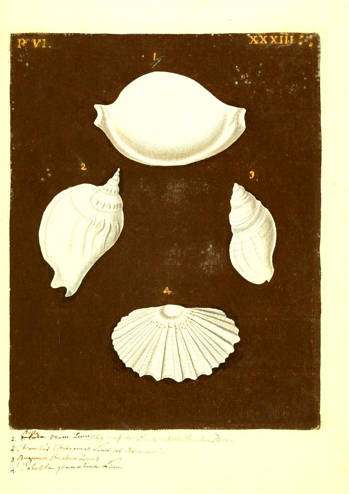 n386_w1150