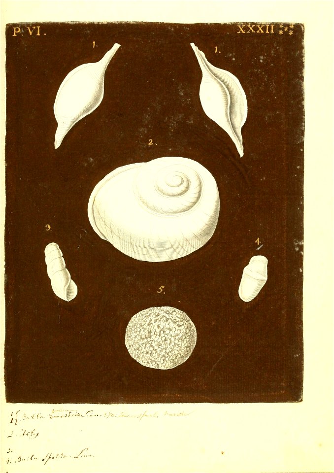 n384_w1150