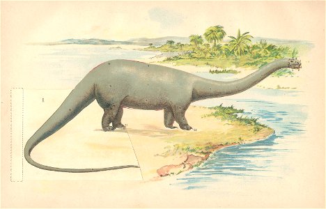 diplodocus 1