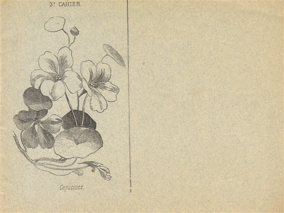 cahier n3 fleurs p1