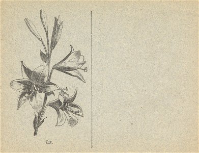 cahier n3 fleurs p5