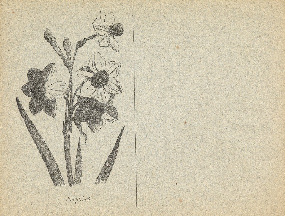 cahier n3 fleurs p9