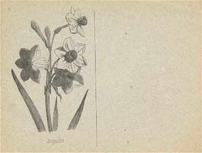 cahier n3 fleurs p9