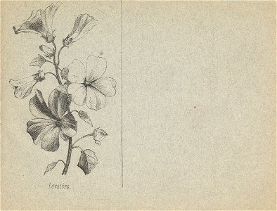 cahier n3 fleurs p13