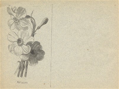 cahier n3 fleurs p10