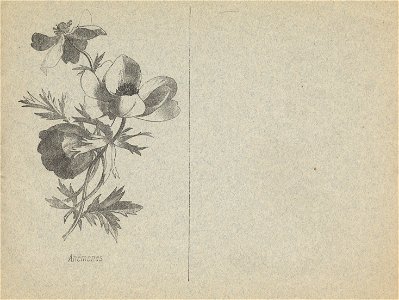 cahier n3 fleurs p11