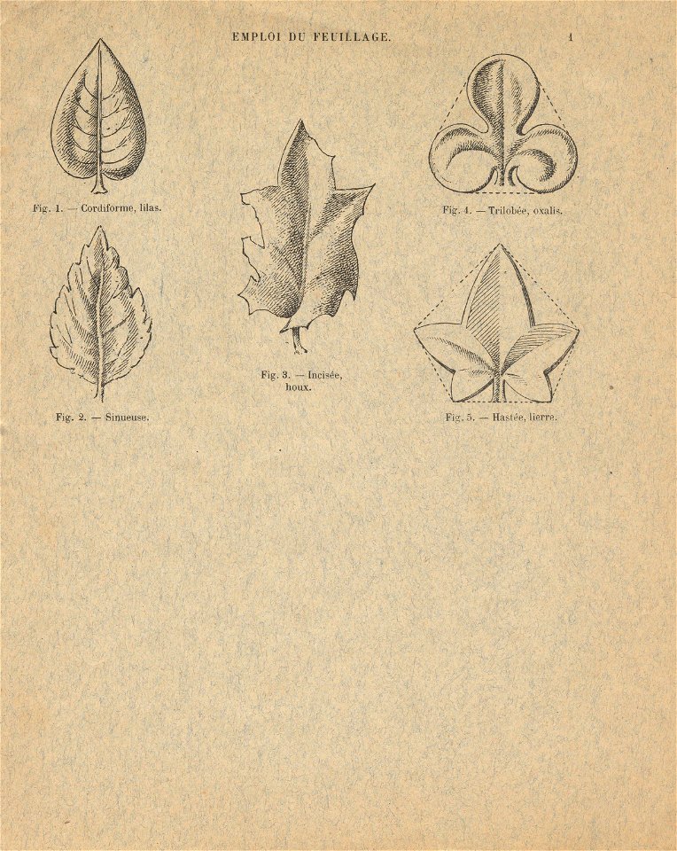 cahierfeuillage p2