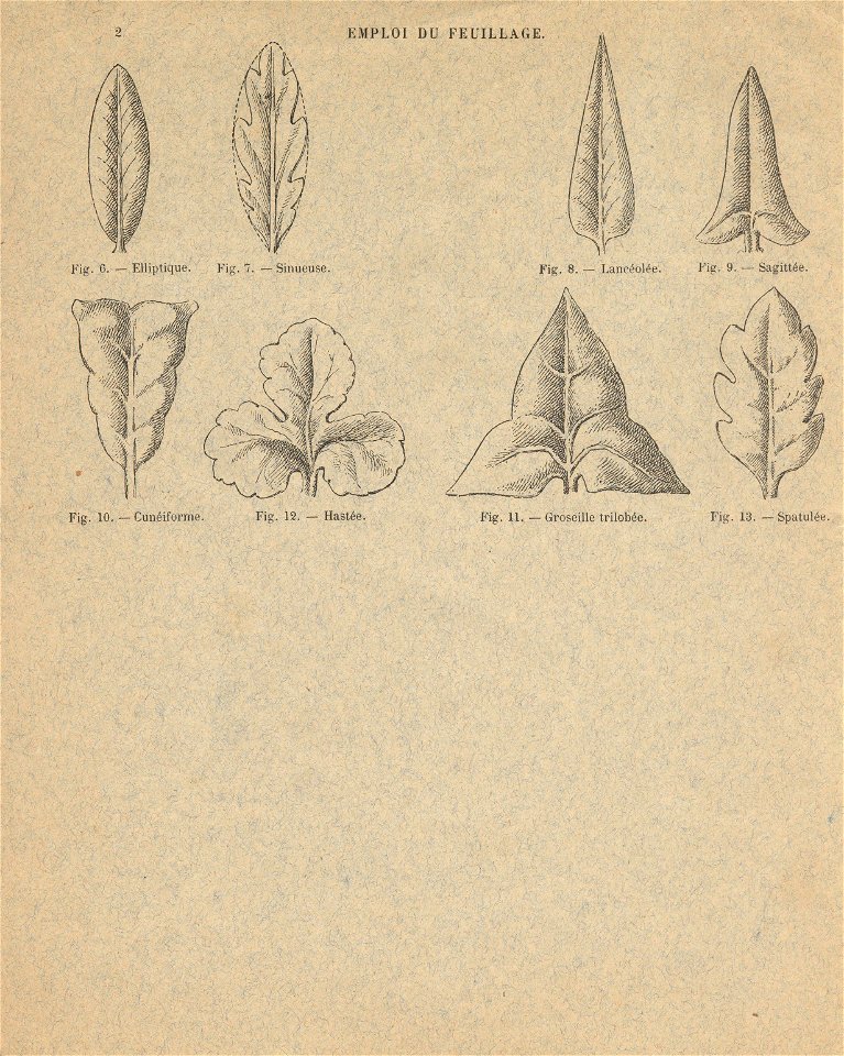 cahierfeuillage p3