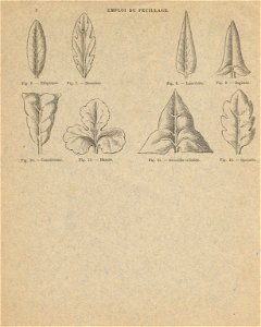cahierfeuillage p3