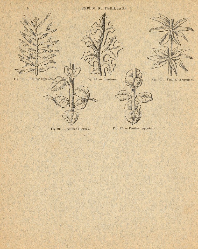 cahierfeuillage p5