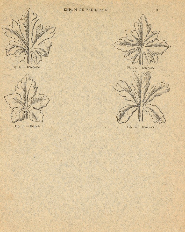 cahierfeuillage p4