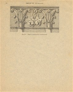 cahierfeuillage p11