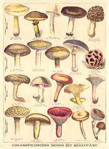 ptitjournal 18octo 96b