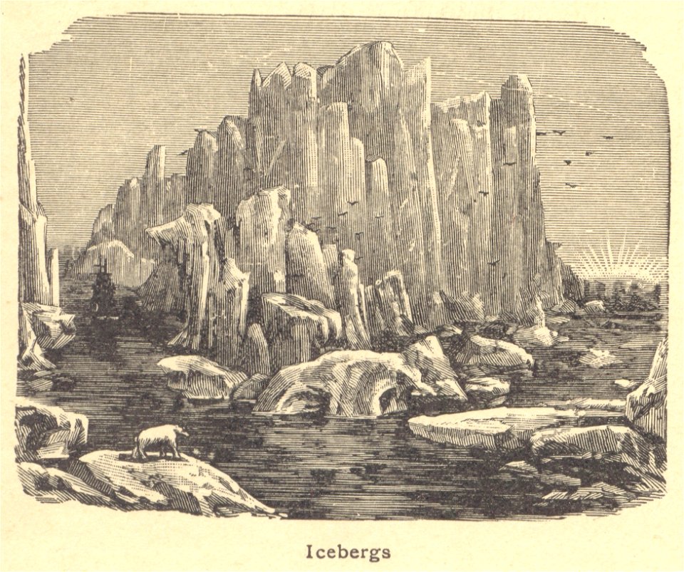 notiongeo 8