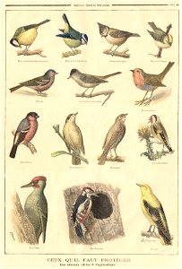 ptitjournal 13 dec 1896 in