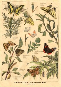 ptitjournal 27 juin 1897 in