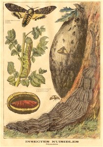 ptitjournal 11 juillet 1897 in
