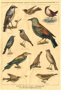 ptitjournal 7 fev 97 in