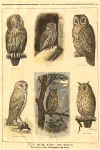 ptitjournal 17 janv 97 in