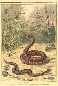 ptitjournal 14 fev 97 in