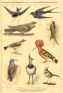 ptitjournal 10 janv 97 in
