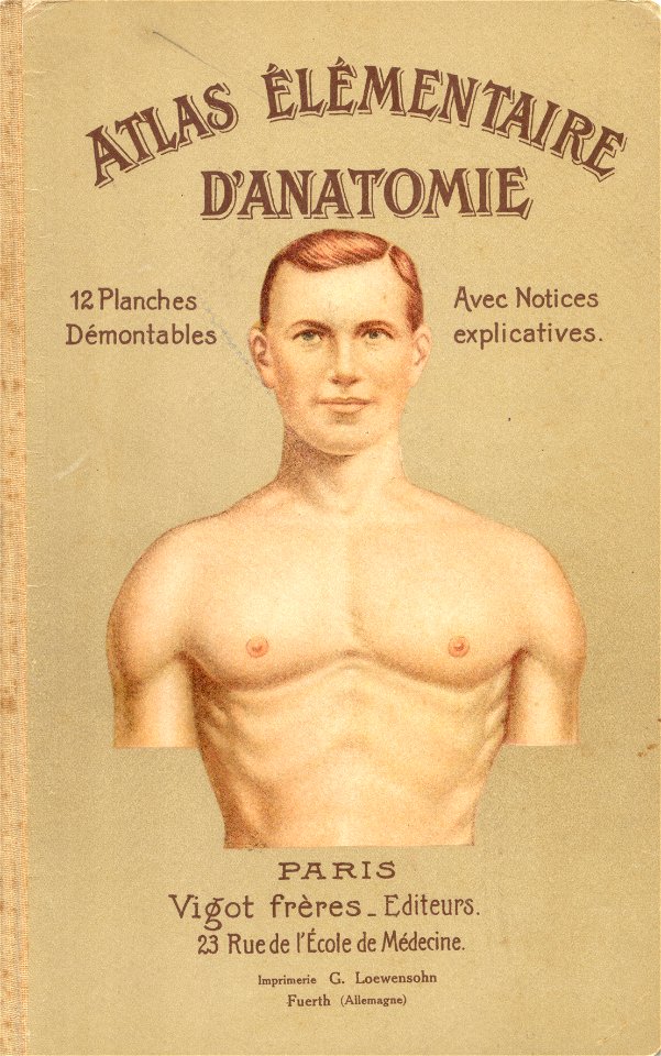 atlas anatomie 0
