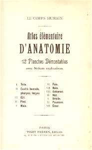 atlas anatomie 1