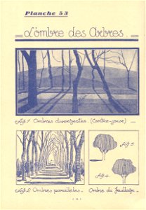 commentpeindre p53