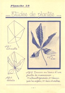 commentpeindre p59
