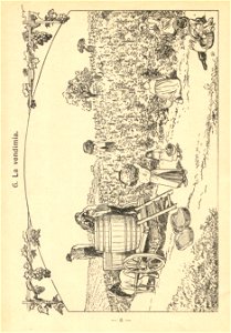 estampas p7