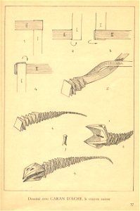 tm 15