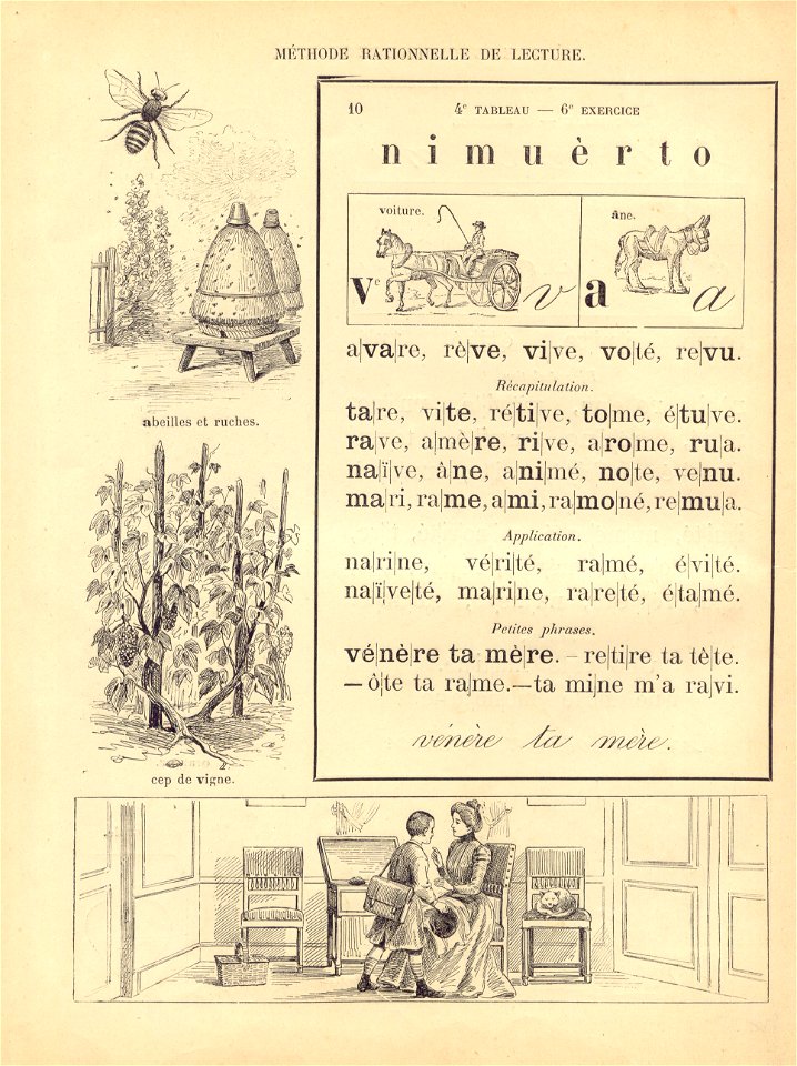 parents educ 8