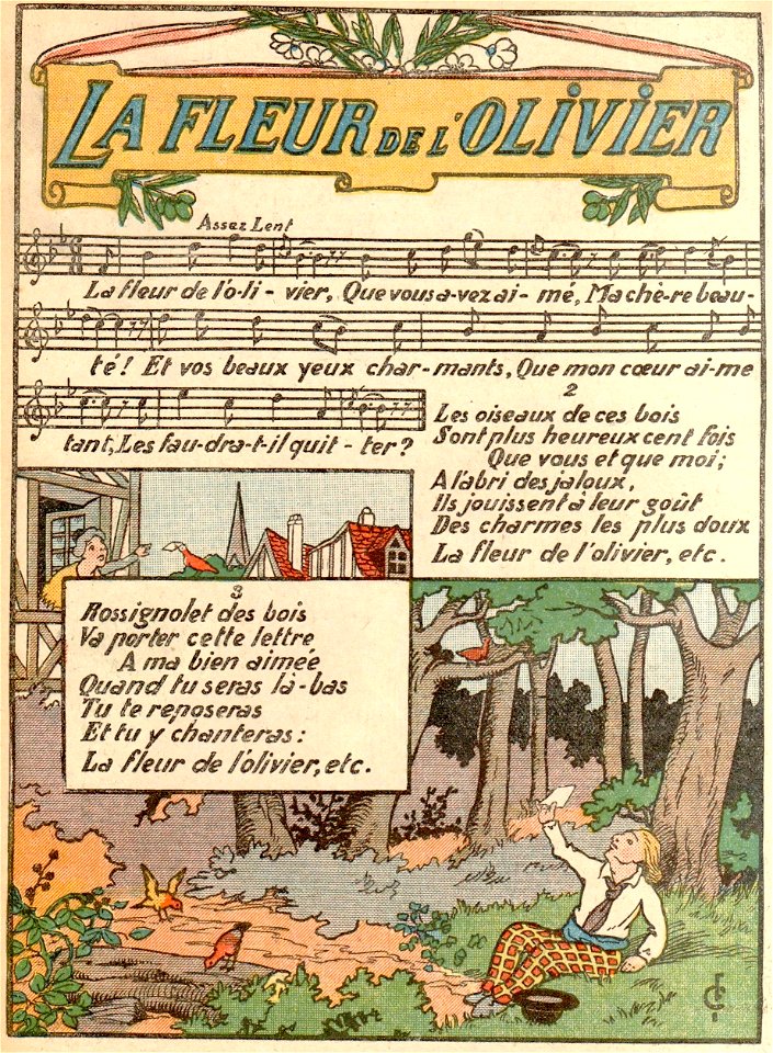 La fleur de l'olivier