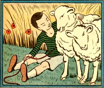 moutons
