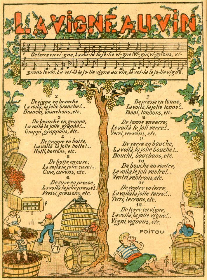 La vigne au vin