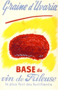 frileuse 1