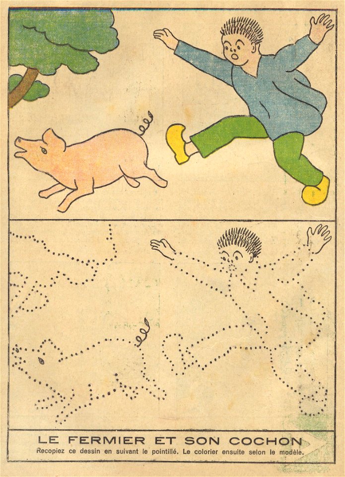 color cochon