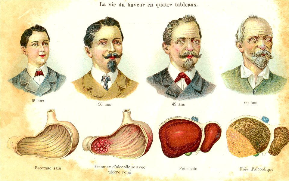 la vie du buveur!