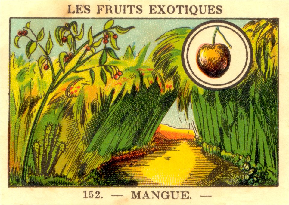fruitsexo7