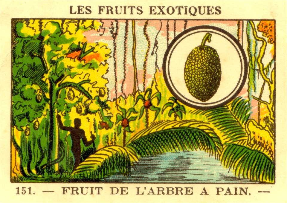 fruitsexo8