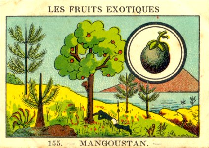 fruitsexo12
